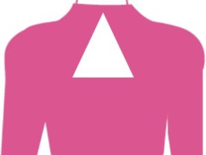 Collared back with triangle keyhole