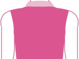 High Collar Halter Back